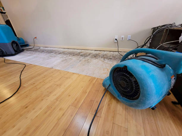Professional Sewage Cleanup technician working in Hillsboro, KS